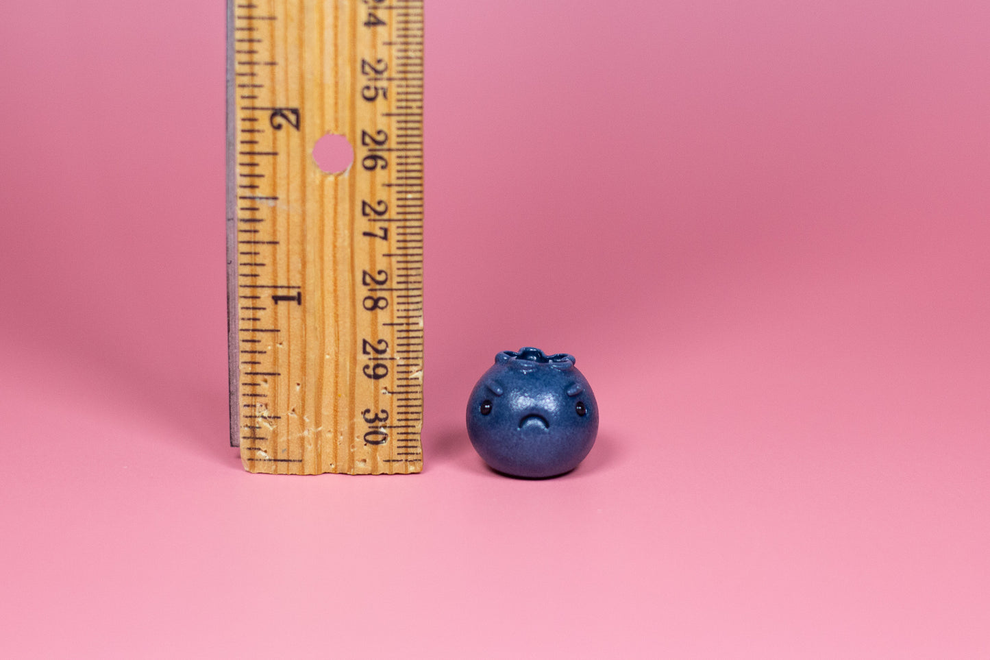 One Grumpy Little Blueberry